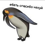 ебать спасибо нахуй.JPG